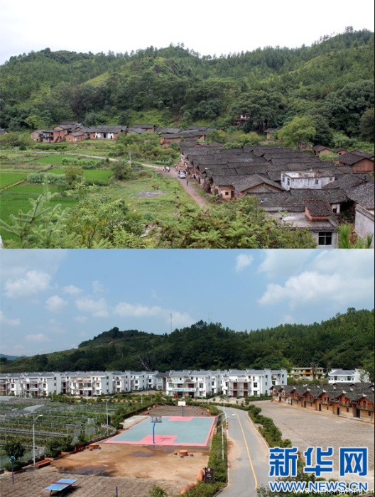 1-华屋村,那挺立的十七颗松-华屋村新貌_UUID11357 1-华屋村,那挺立的十七颗松-华屋村新貌_UUID11357