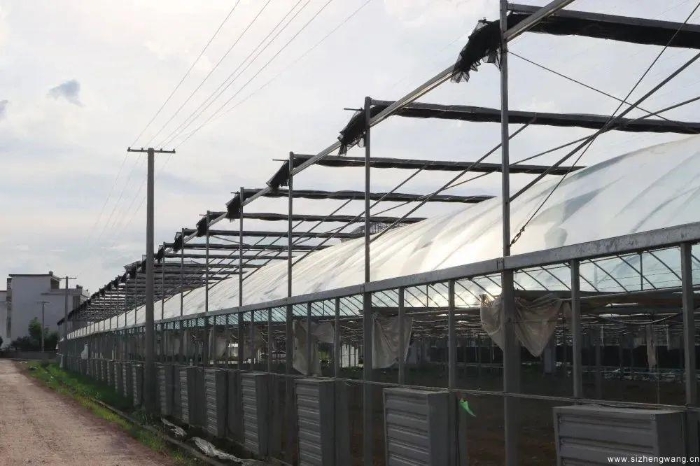 14-大棚蔬菜产业园_UUID11357 14-大棚蔬菜产业园_UUID11357