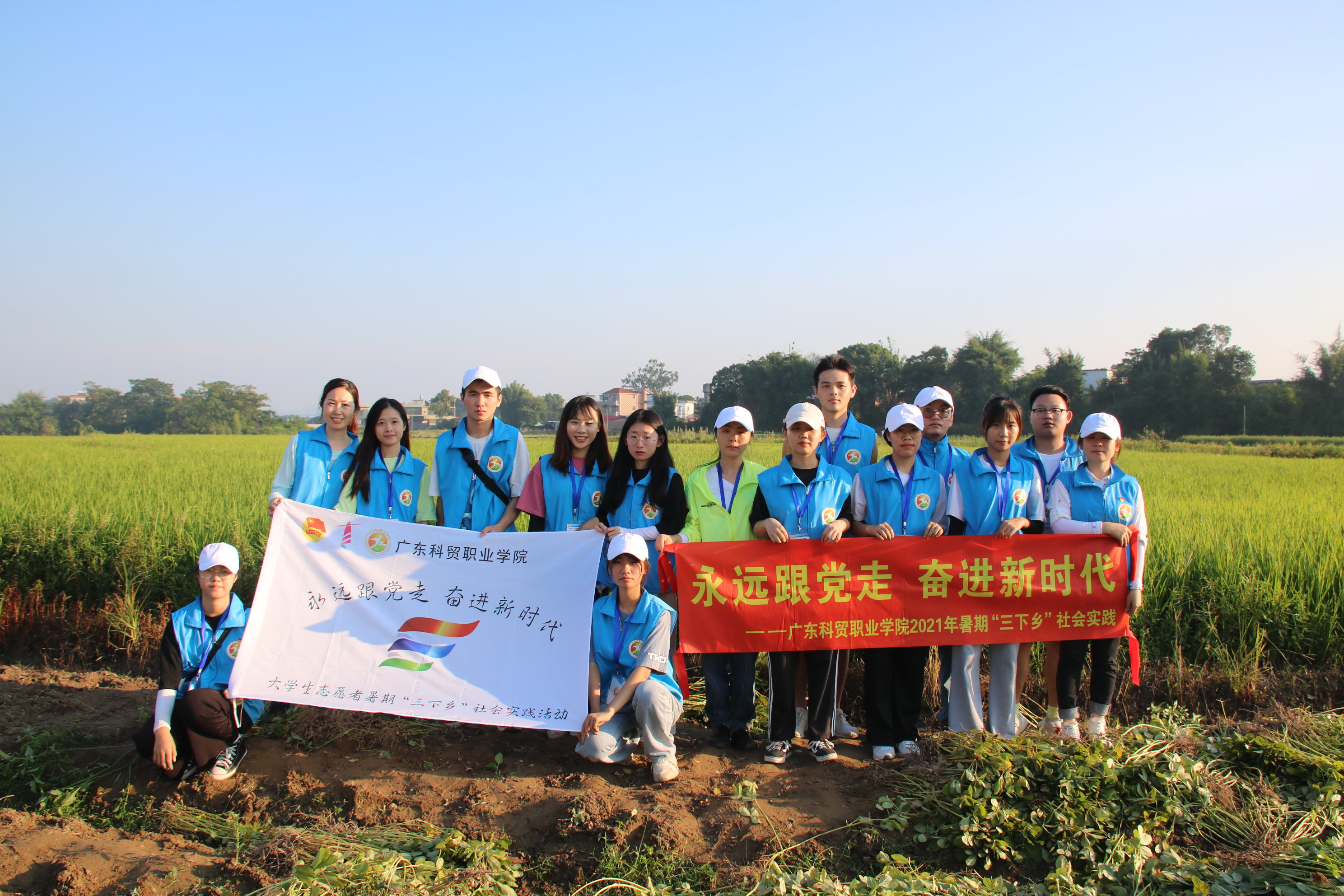 实践团在田间的大合影.JPG